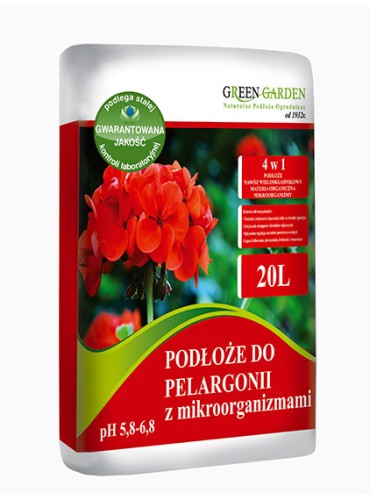 pelargonia mikro 20.jpg